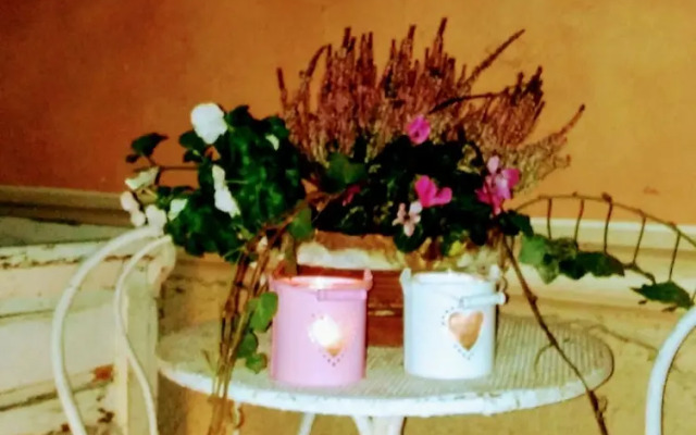 Gli Olmi B&B