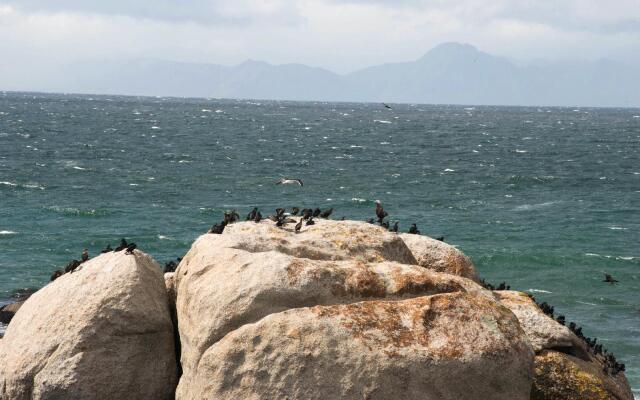 Boulders Beach Villa