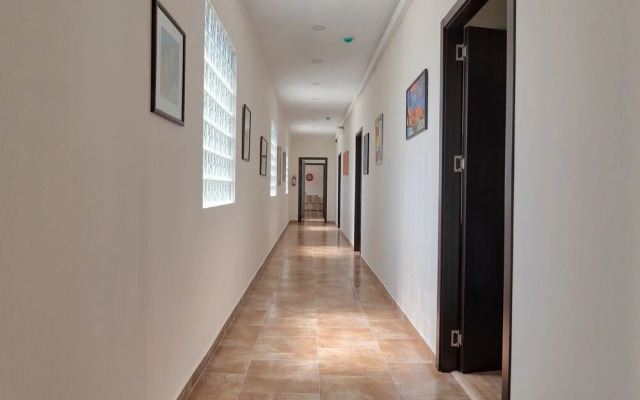 New Tiflis Apartments Plekhanovi