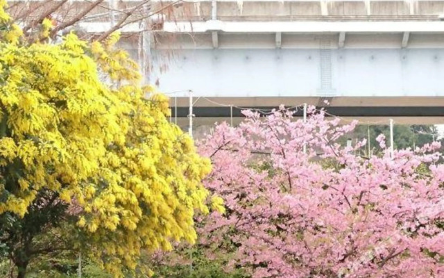 Izu Village Heso Hotel