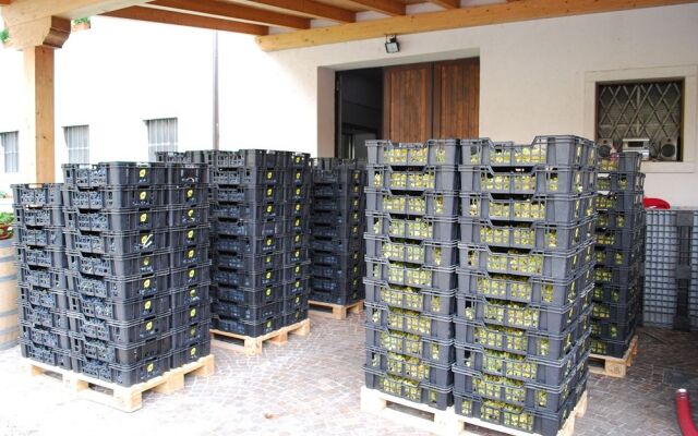 Agriturismo Salizzoni