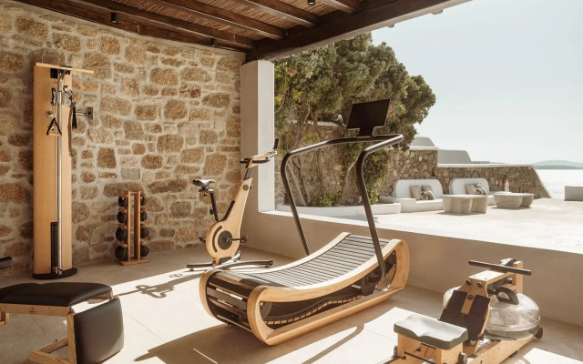 All Greek Villas Mykonos