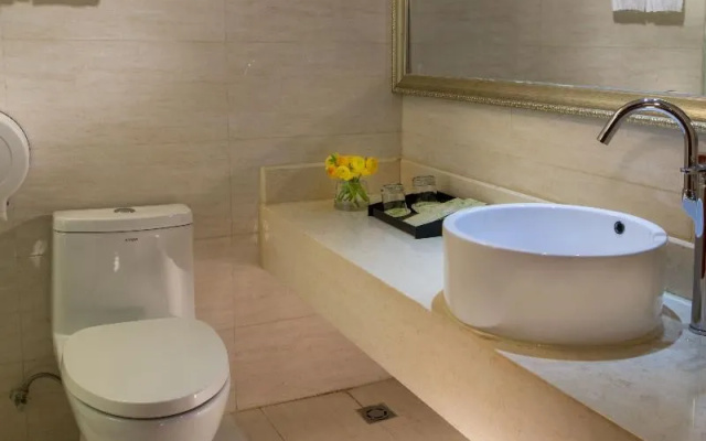 Vienna Hotel Shenzhen Pinghu Center Metro Station
