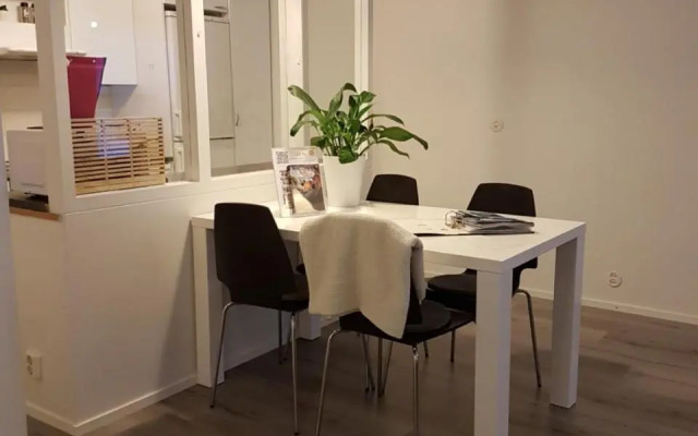 Lapland Spacious Apartment, Rovaniemi