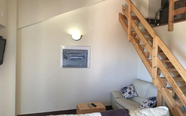 Arion Stables & Apartments