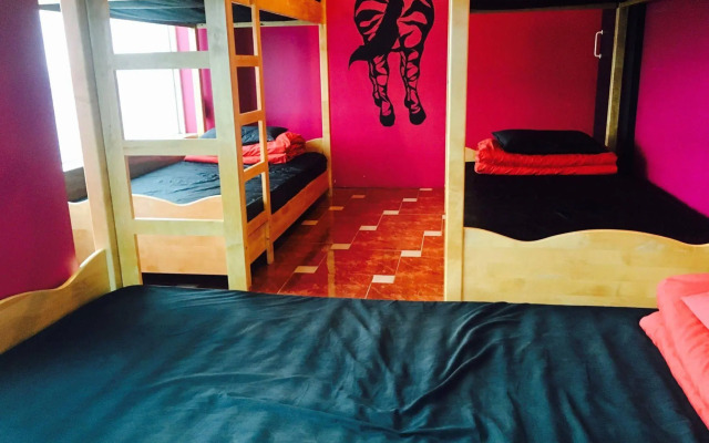 GN Guesthouse Coffeemarina - Hostel