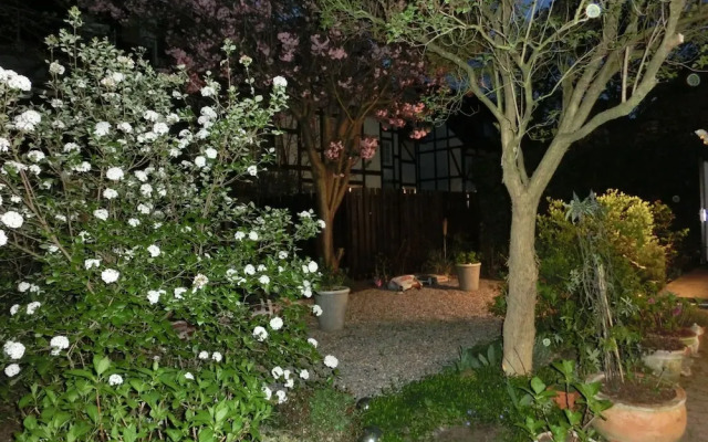 Beautiful Apartment in Hamelin With Garden