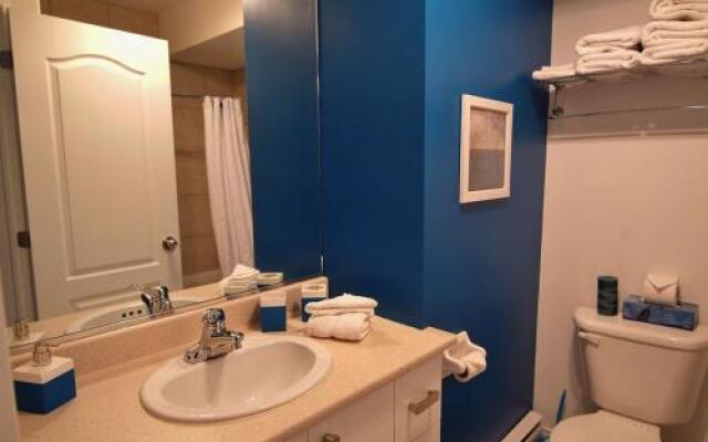 Chalet 33 Chemin du Hameau 302