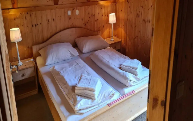 Cosy Chalet With Terrace