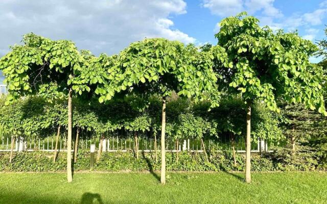 Luxury Villa - JessApart Walendia