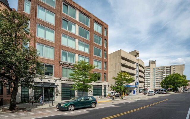 Elegant Suites in Westland Avenue