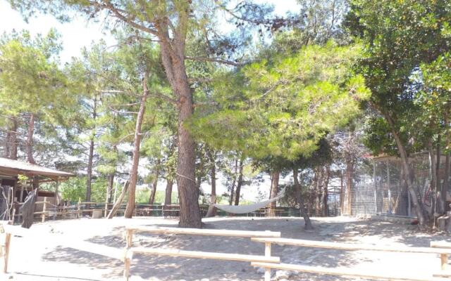 fattoria country village