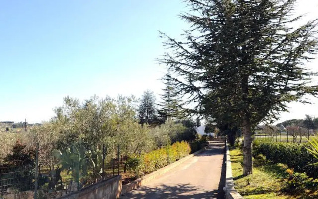 Stella Della Valle DItria