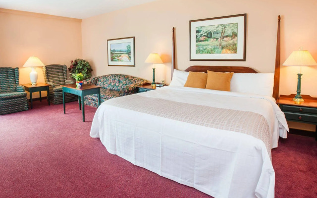 Rodd Brudenell River