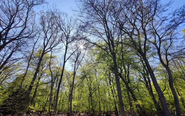 Schlösschen Sundische Wiese