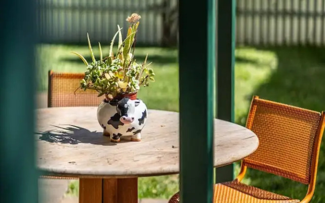 The Spotted Cow City Fringe Pet-friendly