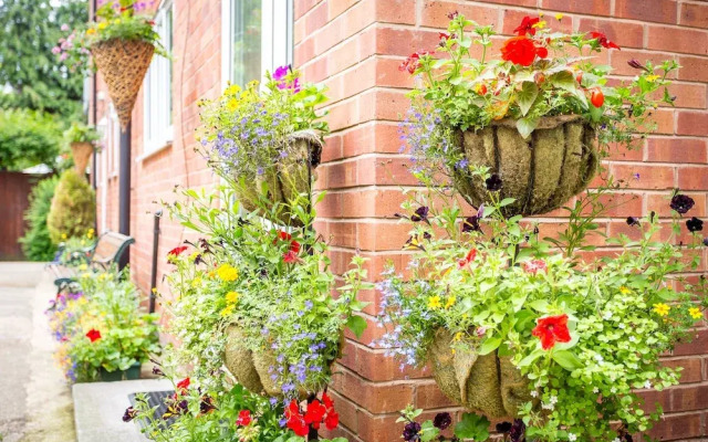 The Stratford Clinic