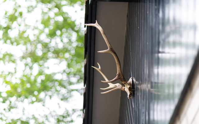 Vakantiehuisje Specht