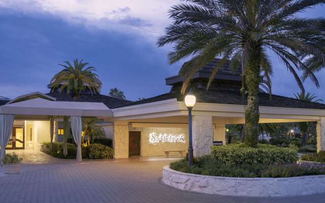 Saddlebrook Golf Resort & Spa Tampa North - Wesley Chapel