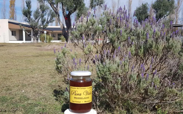 Posada de Campo Pura Vida