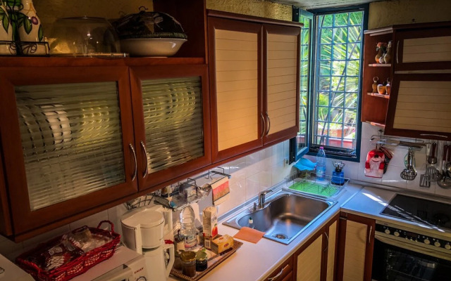 Kiranis Seaview Villa Barbati Beach