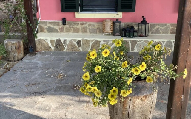 Summer House Surrounded by Olive Trees Halkidiki