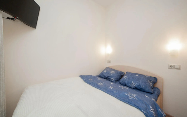 Санди на улице Выборгская