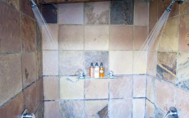 Elephant Hide of Knysna Guest Lodge