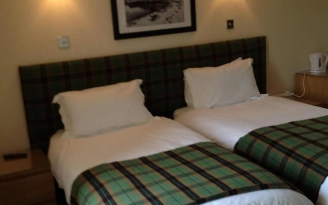 The Island Bear B&B