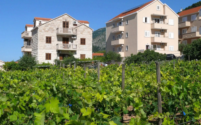 Villa Ana