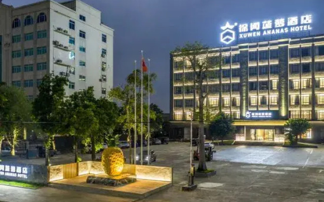 Xuwen Pineapple Hotel