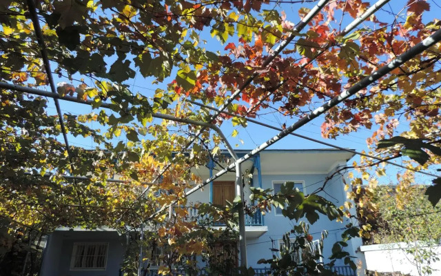 Tetriani Guesthouse