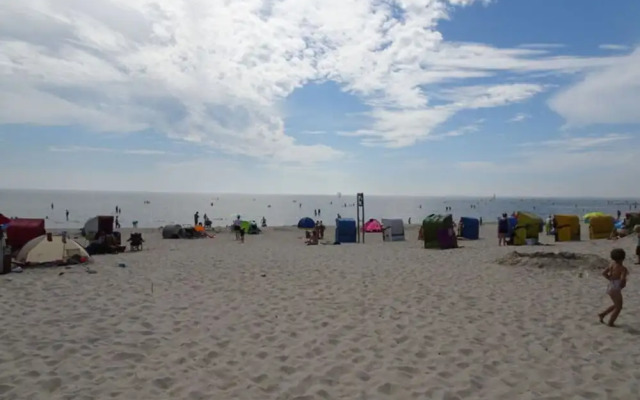 Holiday Home Gray Seal