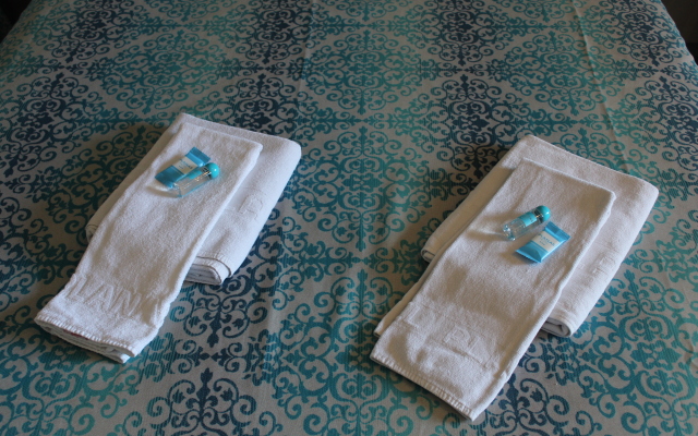 Hotel Planas