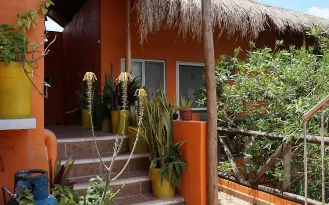Estudios Playa del Carmen