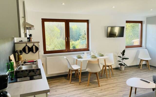 Holiday Apartment Mountain View