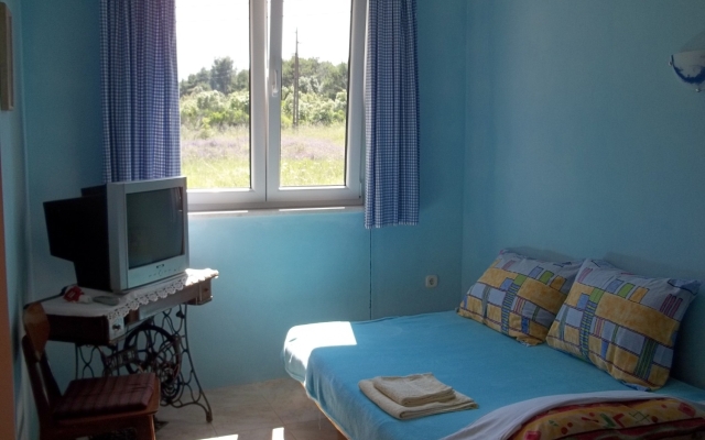 Apartment Renatare - close to the sea with parking: A1 Ugljan, Island Ugljan