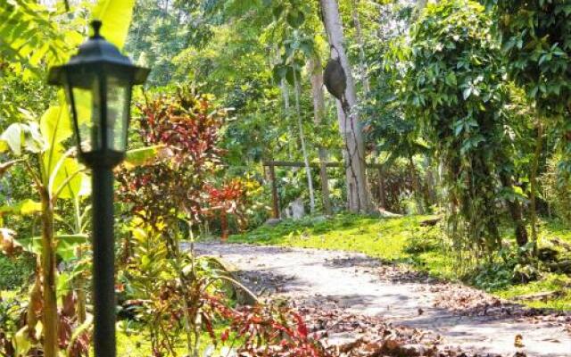 Hoja Verde Bungalows