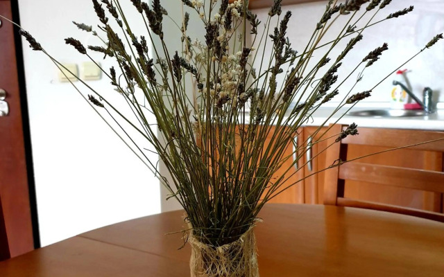 Edelweiss Inn Aparthotel, Apartment 32