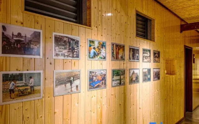 wushengJingyuan daizuyuan Branch)