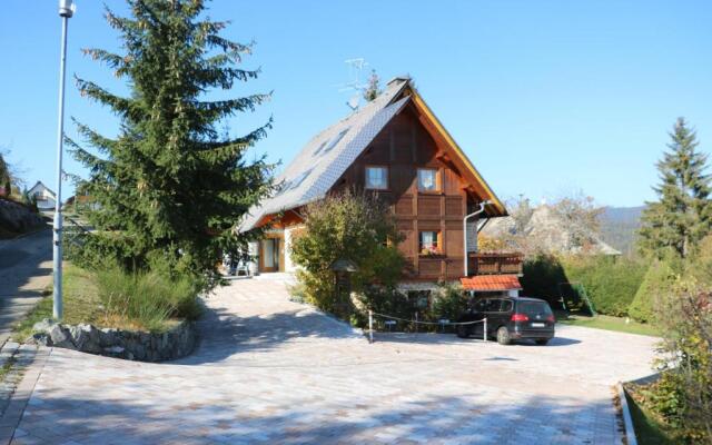 Ferienwohnung Seeblick Nr 5 - 2 Zi-Bärental, Feldberg