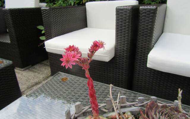 Hotel Pension Zum Hanseaten