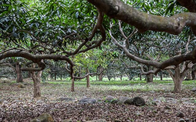 Mango Selva Bio Hotel