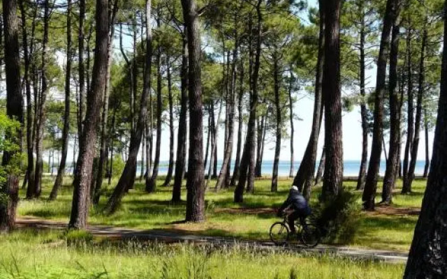 Apartment Biscarrosse Plage - 4 Personnes 2