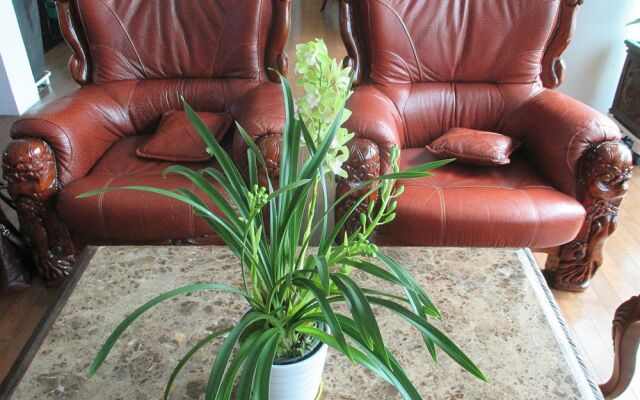 The River View House