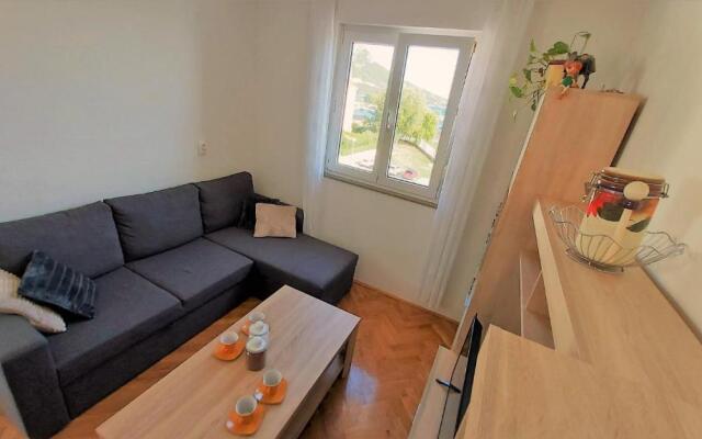 Apartment Ribnjak 10