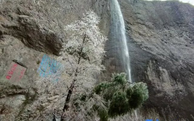 Yandang Mountain Jinlin Holiday Guesthouse
