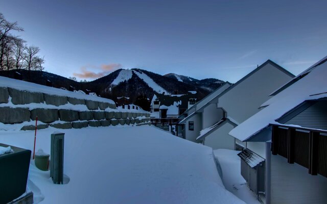 Sunrise - Timberline L-1