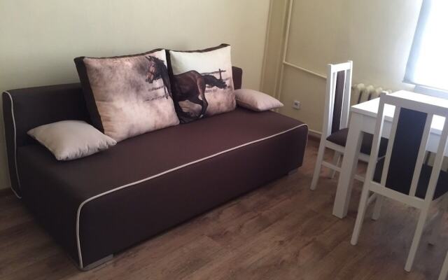 Penguin Rooms - Kielce Downtown Sienkiewicza