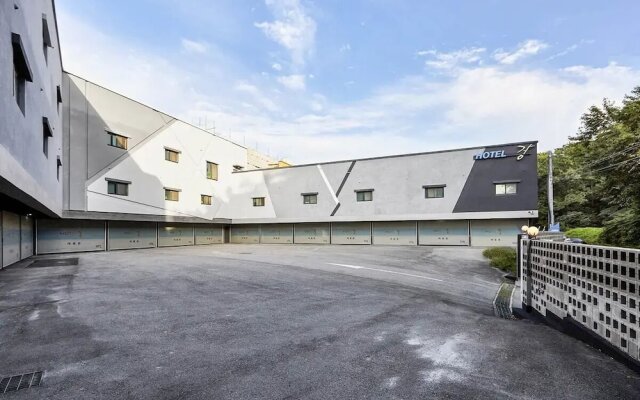 Hotel Forest River Novel